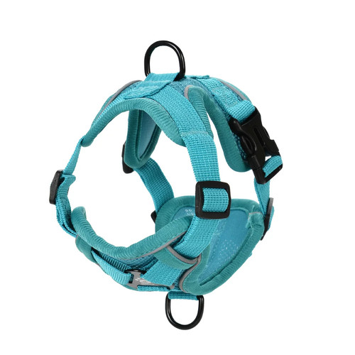 Dog harness leash set - dog,