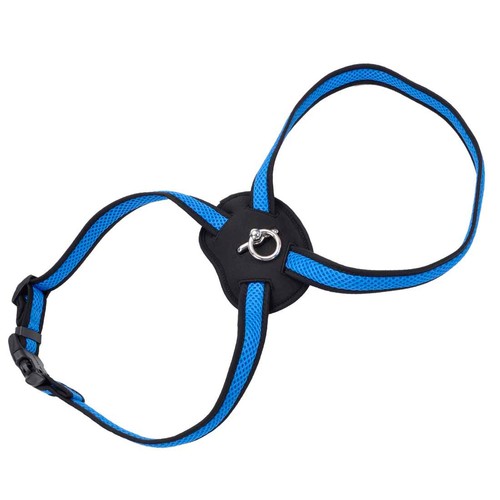 Size right mesh - dog, harness