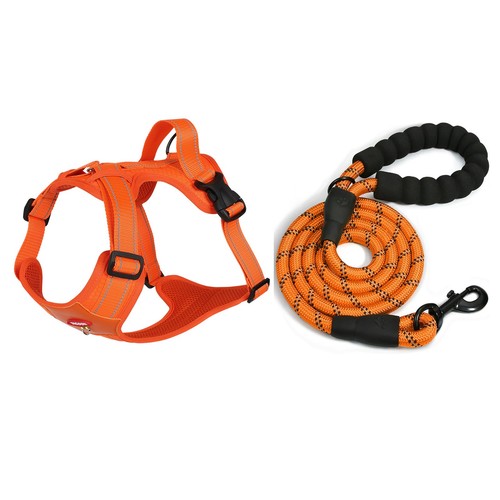 Upgraded adjustable dog - upgraded,