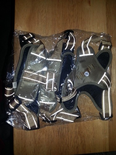 Dog harness - dog,