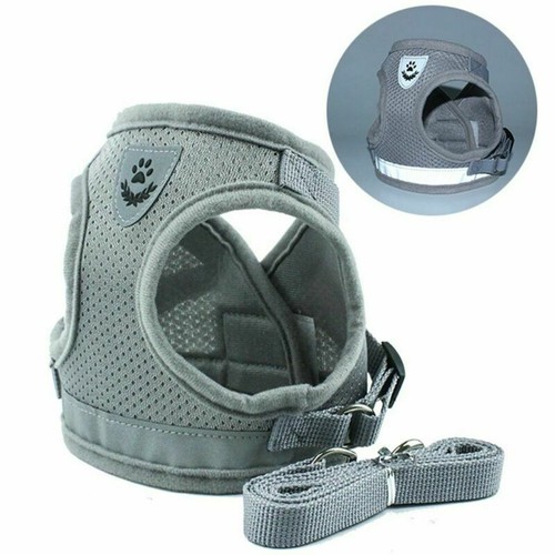 Mesh padded soft puppy - puppy, pet