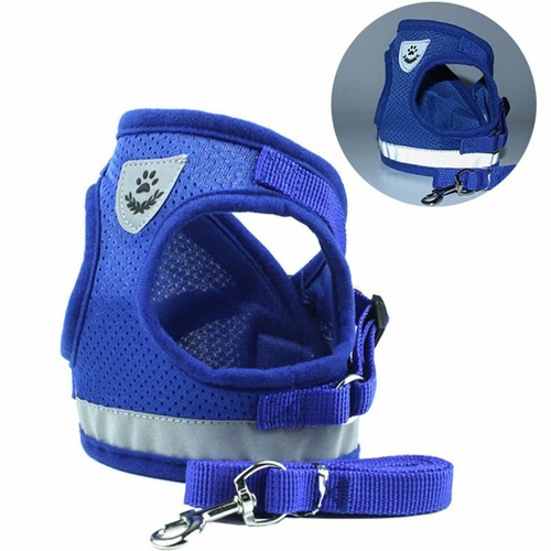 Small dog breathable - dog, mesh