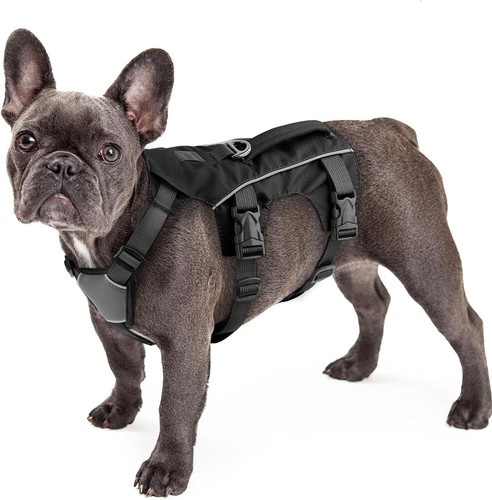 Escape proof dog - escape,