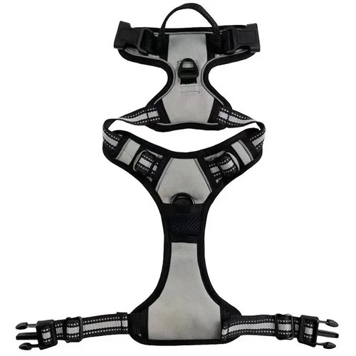 Dog harness with leash clips - dog, 2