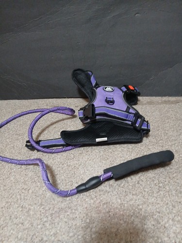 Purple black dog harness - purple, &