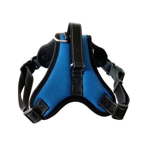 Dog harness training - harness, leash