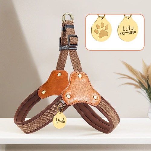 Dog harness pull - pull, and