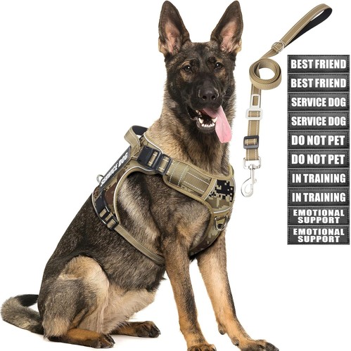 Heavy duty pull dog - duty, no-pull