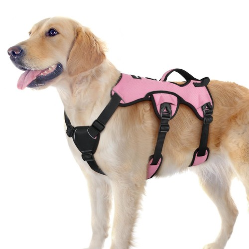 Rabbitgoo escape proof dog - proof,