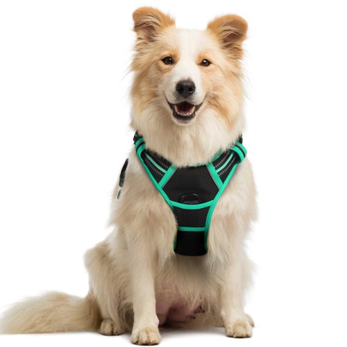 Rabbitgoo dog harness with - dog,