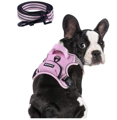 Dog harness pull leash - no-pull, w/leash