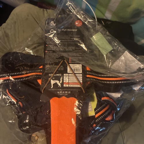 Dog harness - dog,