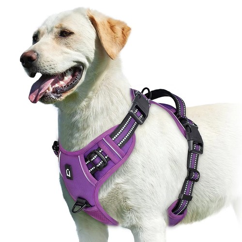 Adjustable pull dog harness - adjustable, no