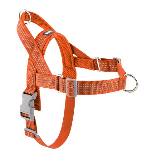 Pull dog harness - no,