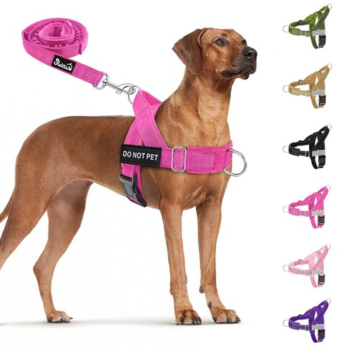 Pull dog harness and - no,