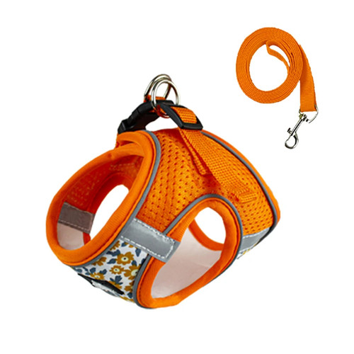 Floral pet harness and - floral,
