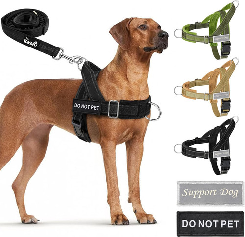 Pull dog harness and leash - dog,