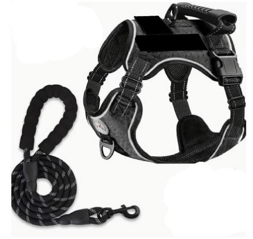 Dog harness leash - harness, &