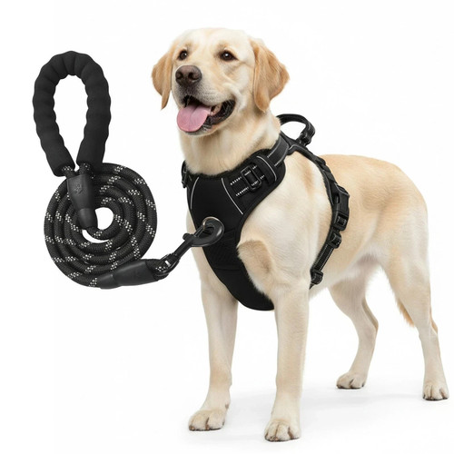 Pull dog pet - pet, harness