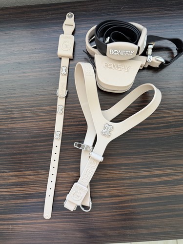 Dog harness - dog,