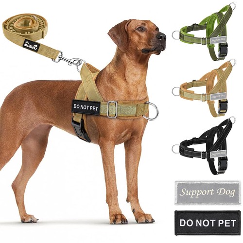 Pull dog harness and - dog, leash