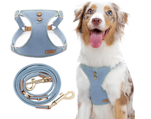 Dog harness pull - no, dogs