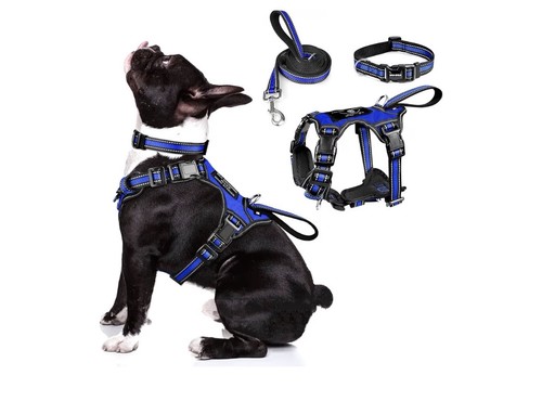 Dog harness collar leash set - harness,