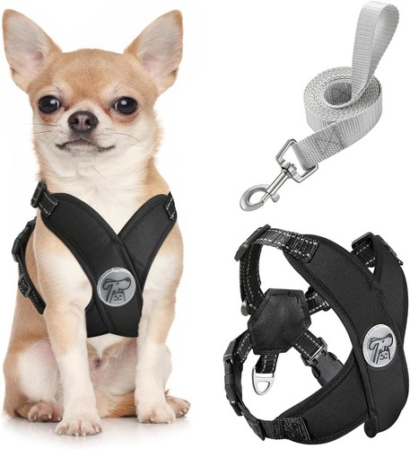 Small dog harness and - dog,