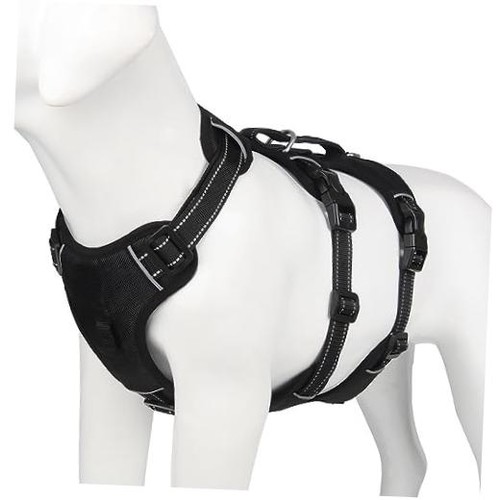 Updated escape proof dog - escape,
