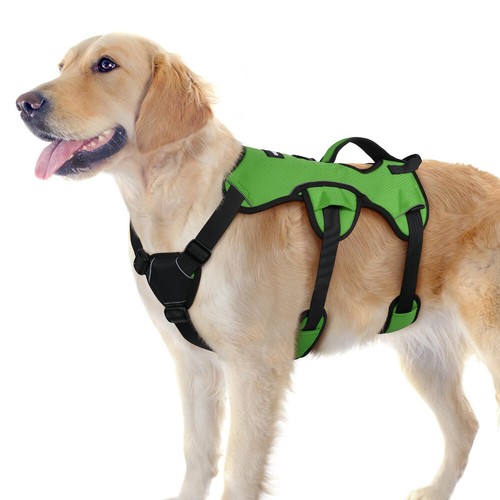 Rabbitgoo escape proof dog - rabbitgoo,