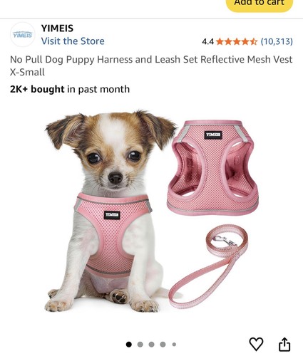 Dog puppy harness with - puppy,