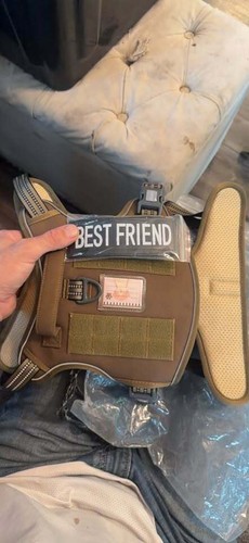 Best friend dog - friend, harness