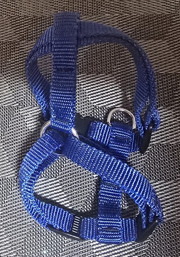 Blue adjustable dog harness - blue,