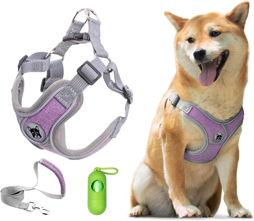 Dog harness with leash set - harness,