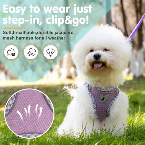 Reflective harness and leash - reflective,