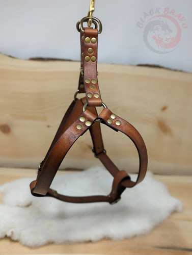Genuine leather dog - leather,