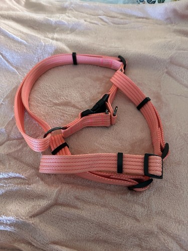 Coral large dog - large, harness