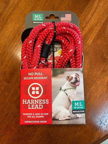 Dog harness lead - dog, lead-