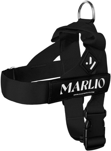 Dog harness stop - dog, no