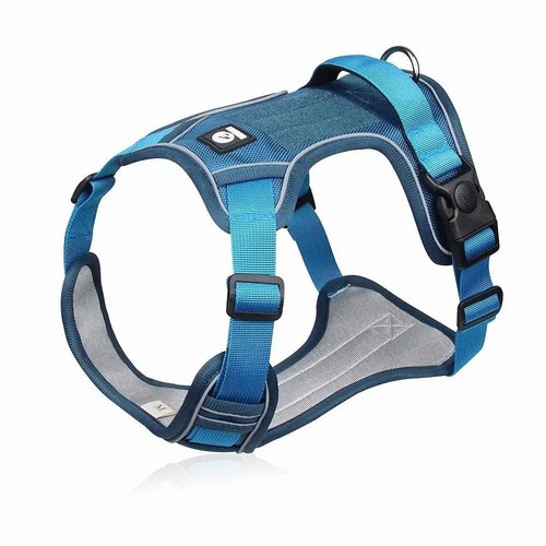 Escape proof dog - escape,