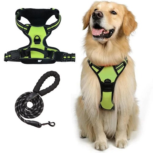 Dog harness training leash - harness,