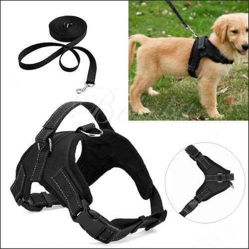 Large dog harness soft - large,