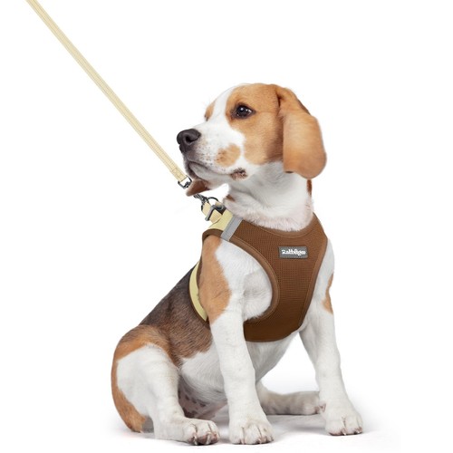 Dog harness small sized - sized, and