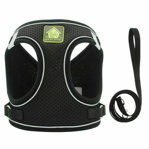 Small dog breathable mesh - dog,