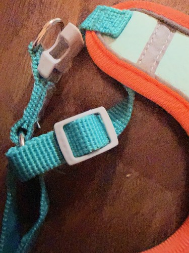 Dog harness blue size - blue,
