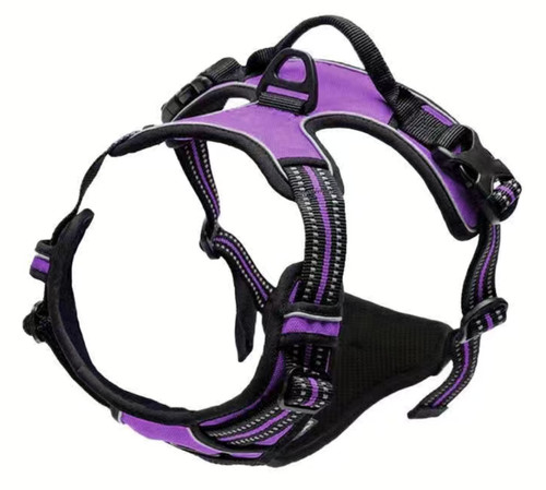 Dog harness training leash - harness,