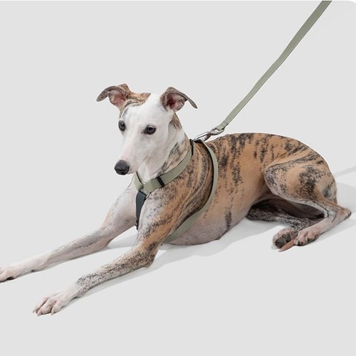 Escape proof dog - harness, and