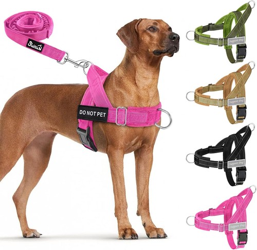 Pull dog harness leash - &,