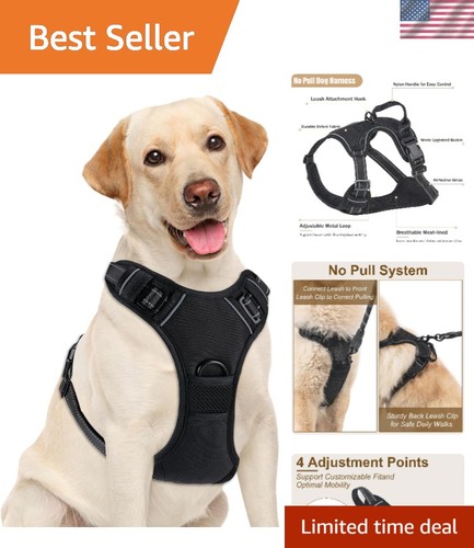 Cozy reflective large dog - cozy, &
