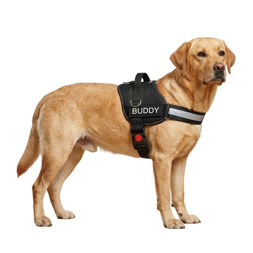 Dog harness pull 3 leash - dog, harness,